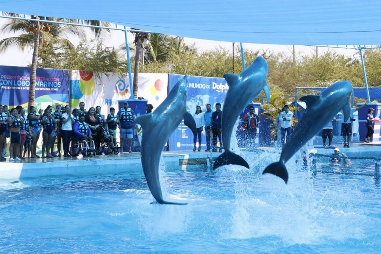 Aquaventuras Park: Nado con Delfines y Toboganes