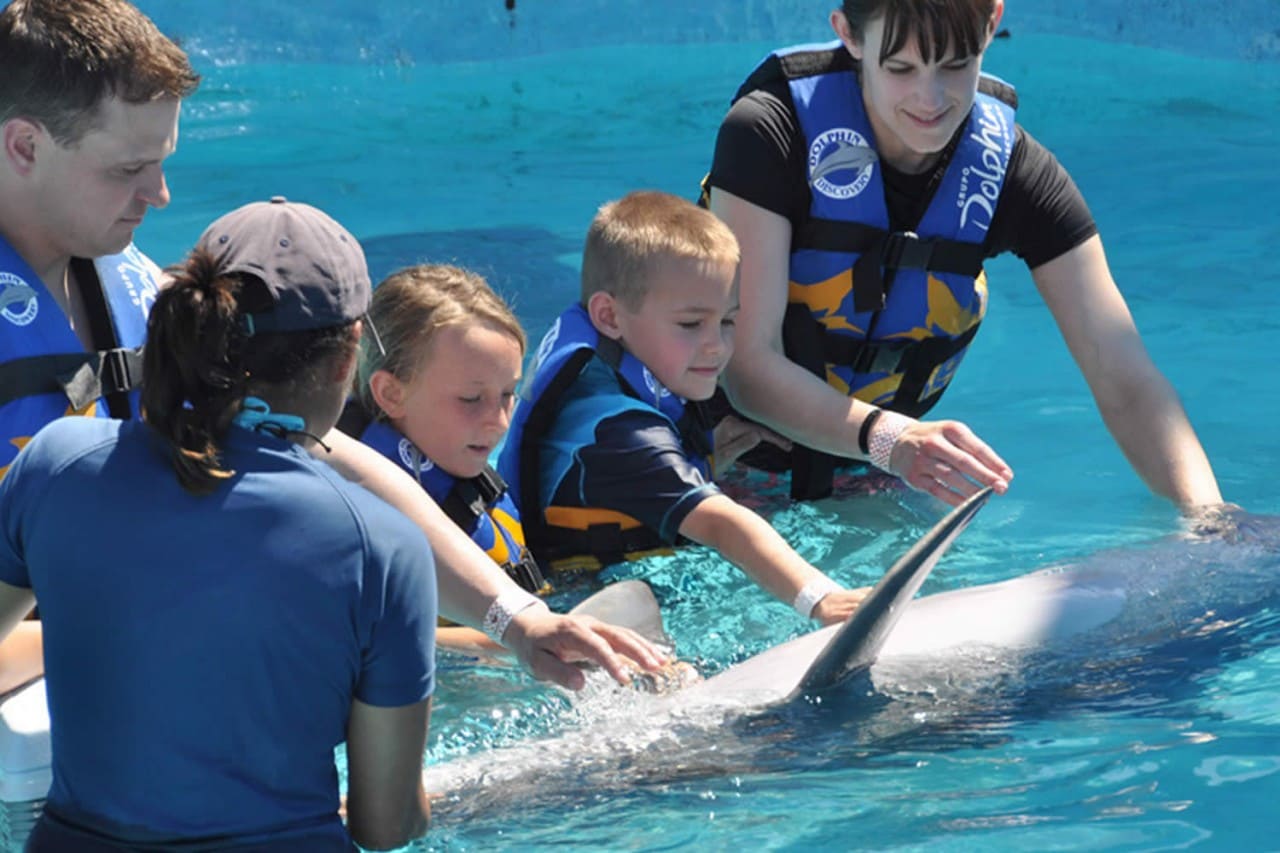 Aquaventura Park (Actividades con Delfines)