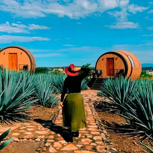 Tequila Un Pueblo Mágico Muy Mexicano En Puerto Vallarta