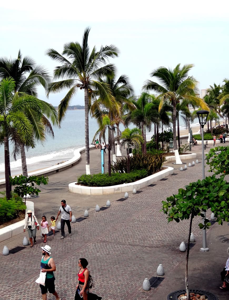Nuestra Misión En Puerto Vallarta