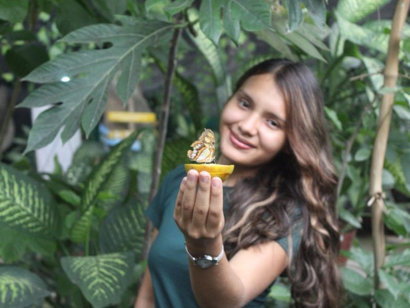 Los Mejores Tours en Puerto Vallarta | Aventura, Ecoturismo y Diversión para Todos