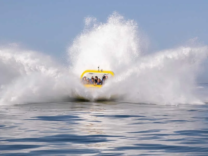 Ocean Mania | Aventura Acuática en Puerto Vallarta