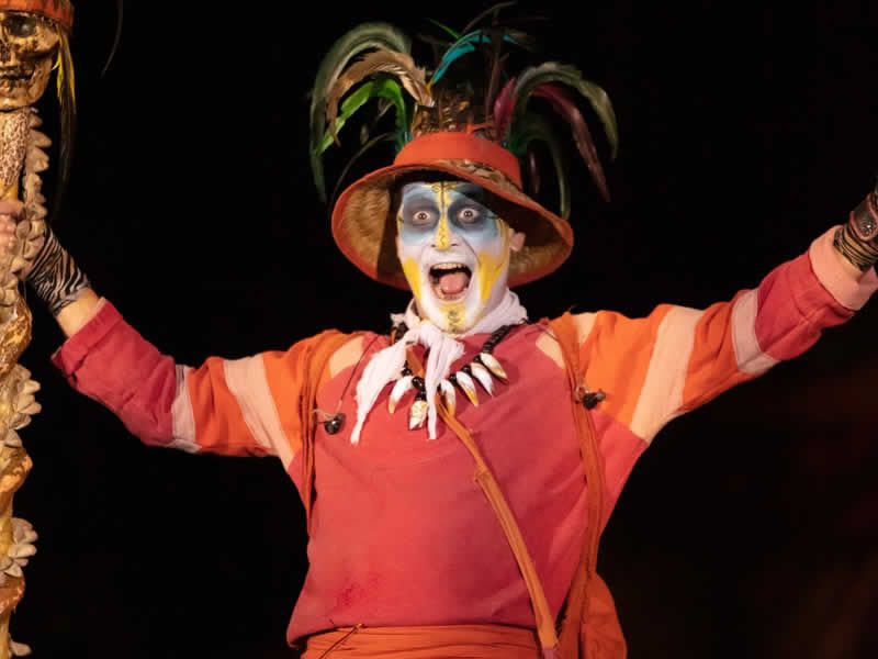 Ritmos de la Noche | Cena Show en Puerto Vallarta