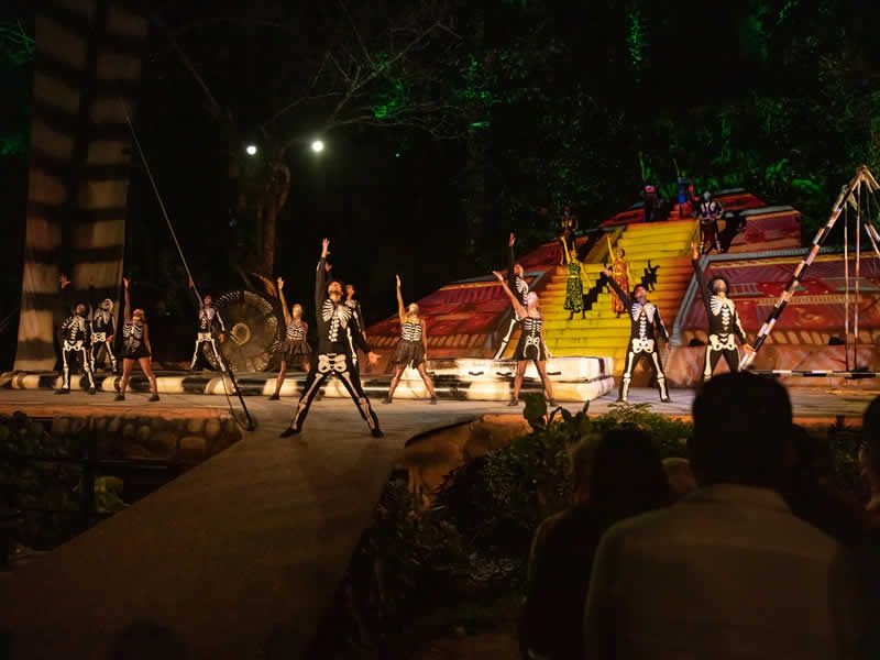 Ritmos de la Noche | Cena Show en Puerto Vallarta