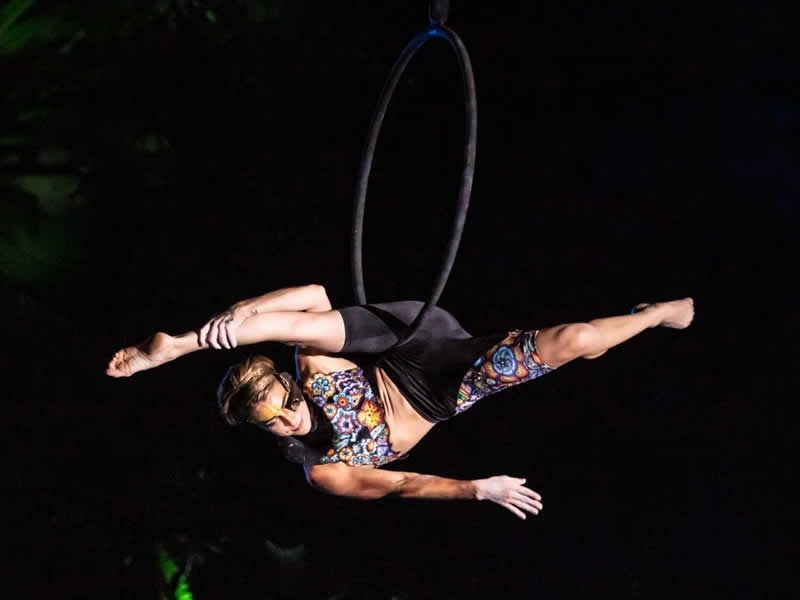 Ritmos de la Noche | Cena Show en Puerto Vallarta