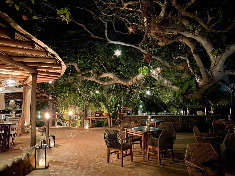 Ritmos de la Noche | Cena Show en Puerto Vallarta