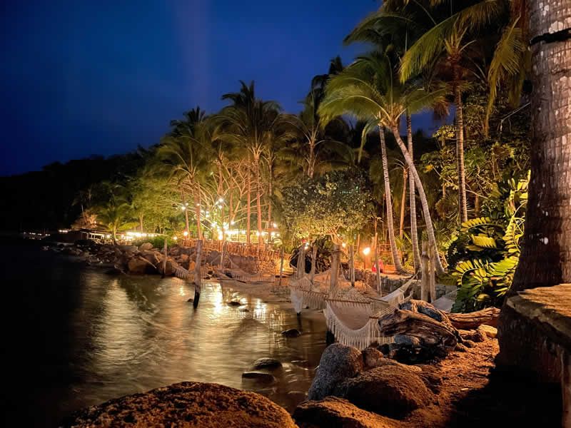 Ritmos de la Noche | Cena Show en Puerto Vallarta