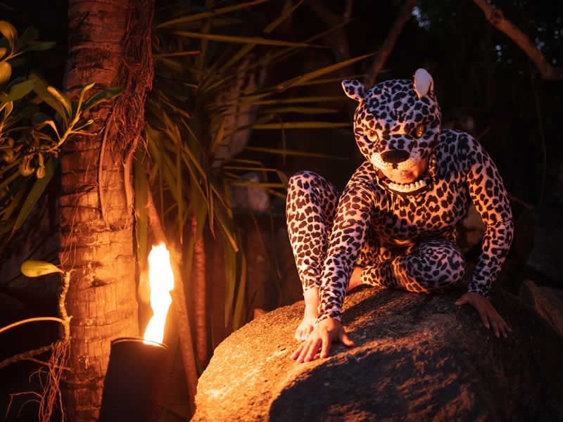 Ritmos de la Noche | Cena Show en Puerto Vallarta