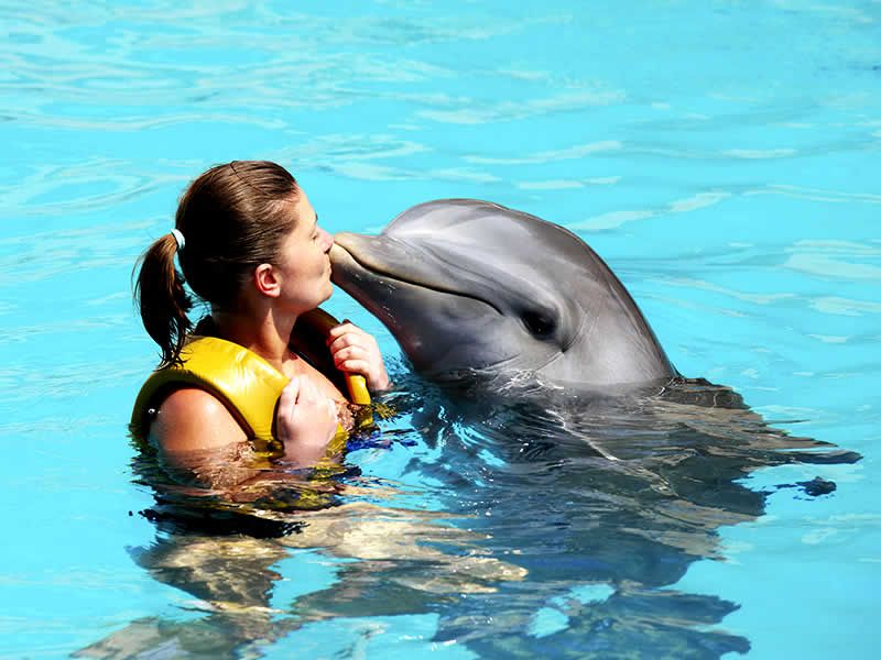 Tour en ATV por el Río Cuale – Puerto Vallarta