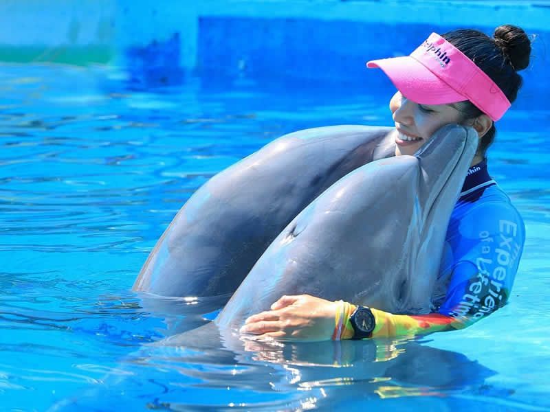Tour en ATV por el Río Cuale – Puerto Vallarta