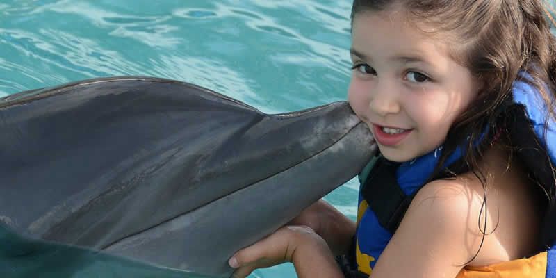 Tour en ATV por el Río Cuale – Puerto Vallarta