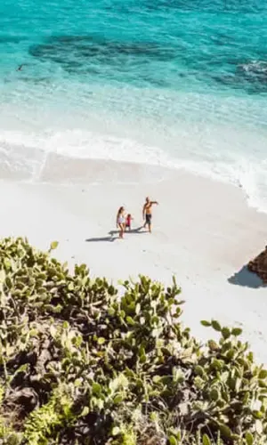 Tour Islas Marietas Puerto Vallarta