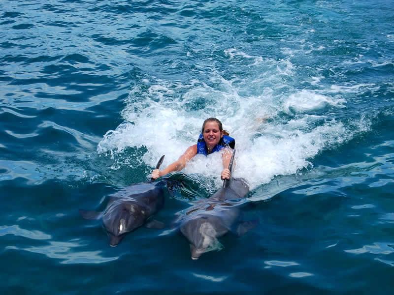 Swim Adventure en Puerto Vallarta | Nado con Delfines y Aventura Marina