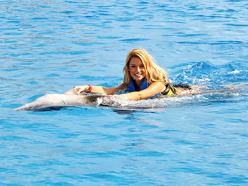 Swim Adventure en Puerto Vallarta | Nado con Delfines y Aventura Marina