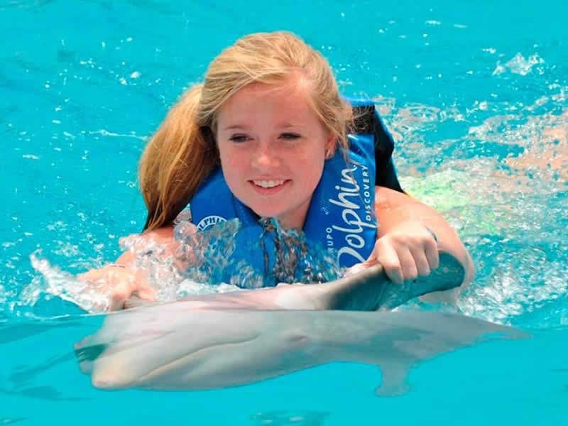 Swim Adventure en Puerto Vallarta | Nado con Delfines y Aventura Marina