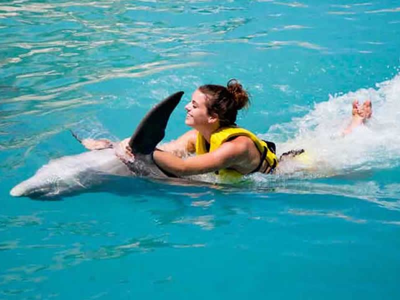 Swim Adventure en Puerto Vallarta | Nado con Delfines y Aventura Marina