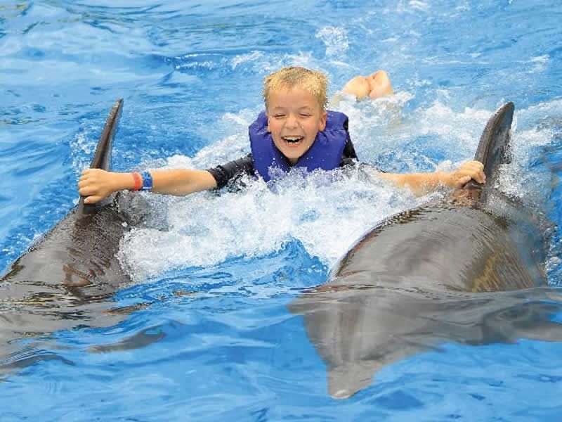 Swim Adventure en Puerto Vallarta | Nado con Delfines y Aventura Marina