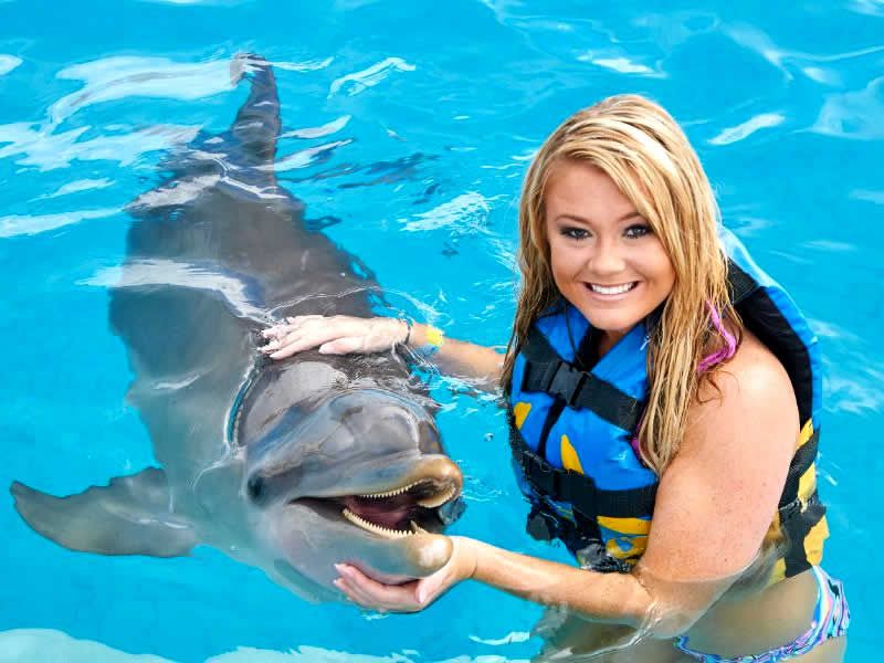 Swim Adventure en Puerto Vallarta | Nado con Delfines y Aventura Marina