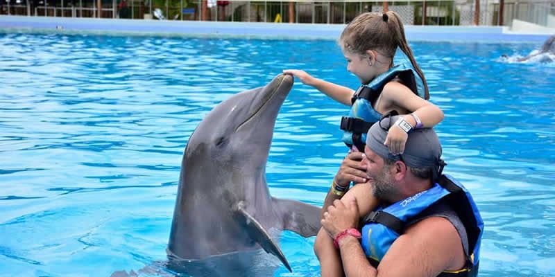 Swim Adventure en Puerto Vallarta | Nado con Delfines y Aventura Marina