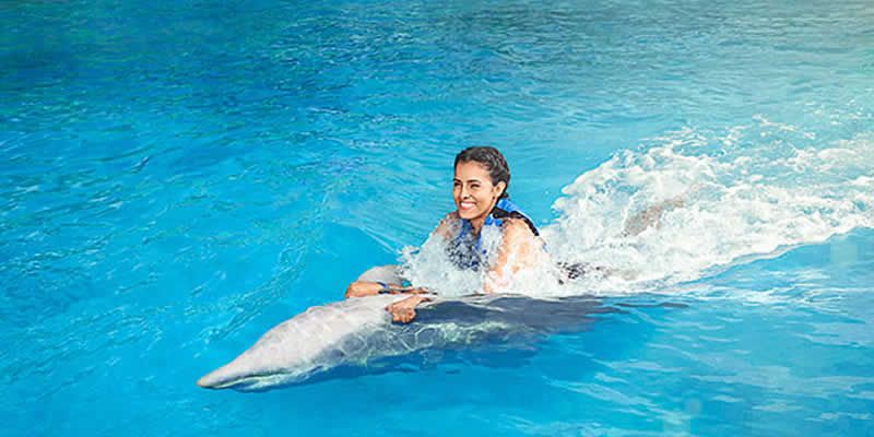 Swim Adventure en Puerto Vallarta | Nado con Delfines y Aventura Marina