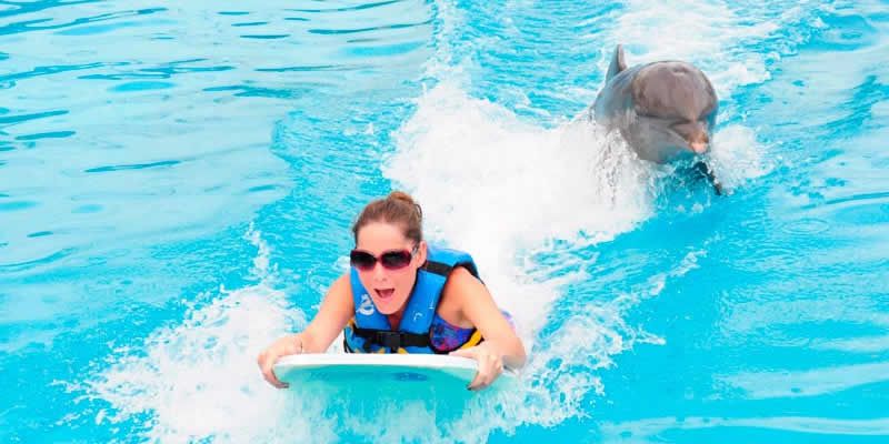 Swim Adventure en Puerto Vallarta | Nado con Delfines y Aventura Marina