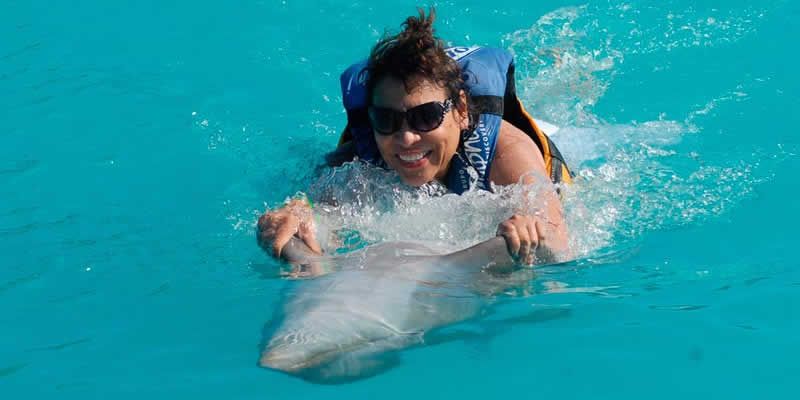Swim Adventure en Puerto Vallarta | Nado con Delfines y Aventura Marina