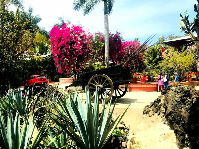 Tour San Sebastián del Oeste desde Puerto Vallarta | Pueblo Mágico y cultura