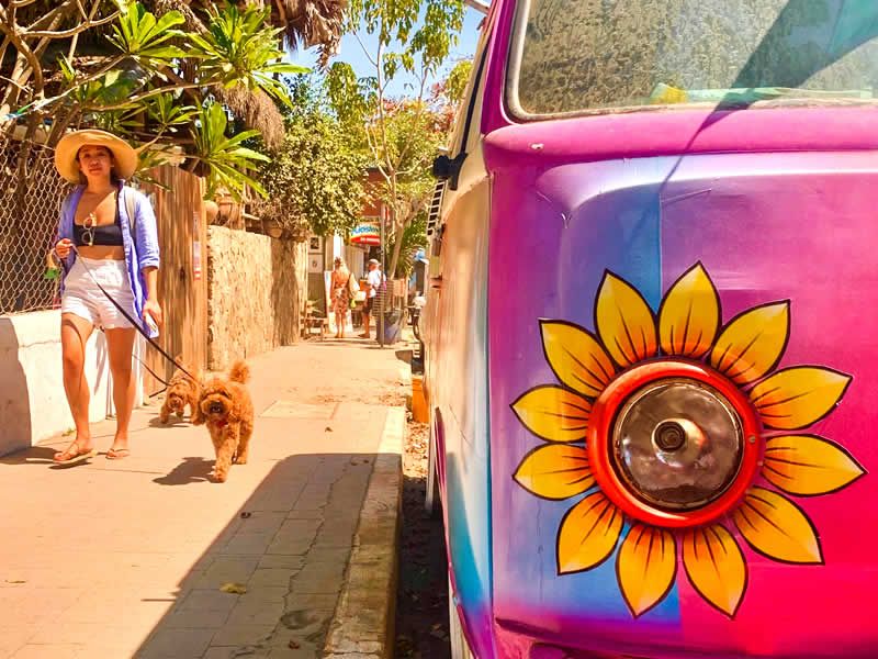 Los Mejores Tours en Puerto Vallarta | Aventura, Ecoturismo y Diversión para Todos